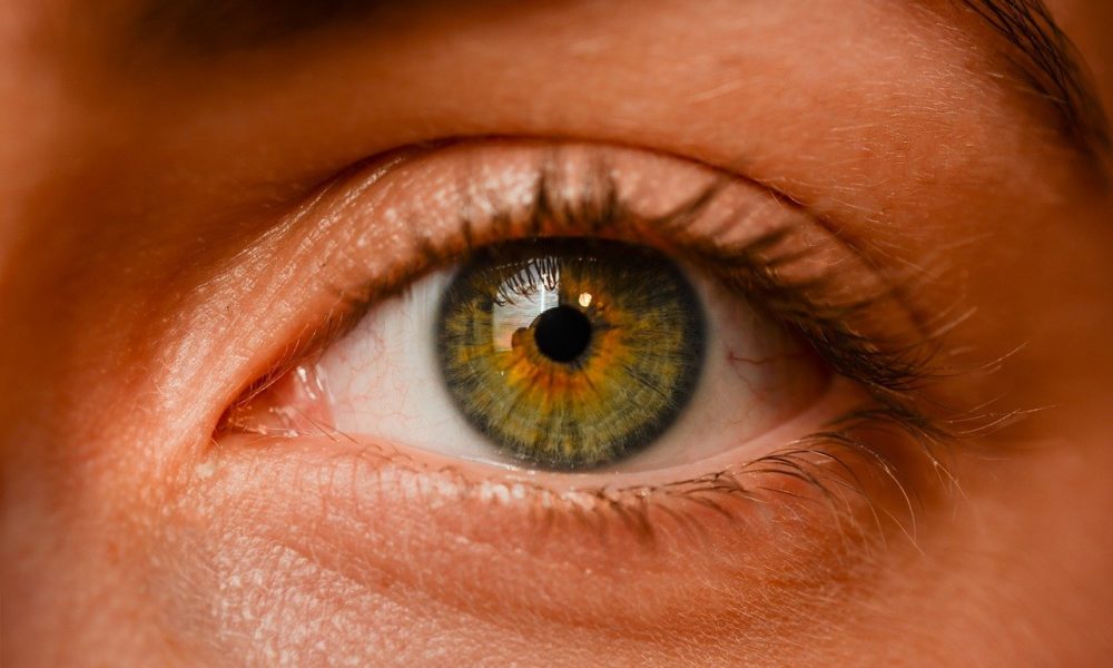 Oczy to niezwykły organ. To dokładnie dzięki nim rozróżniamy.