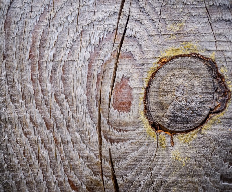 Tartak – Źródło Wspaniałego Drewna: Buduj Z Zapałem i Trwałością.