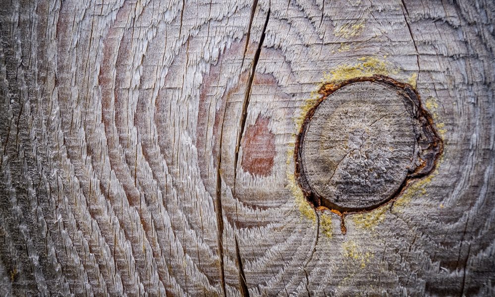 Tartak – Źródło Wspaniałego Drewna: Buduj Z Zapałem i Trwałością.